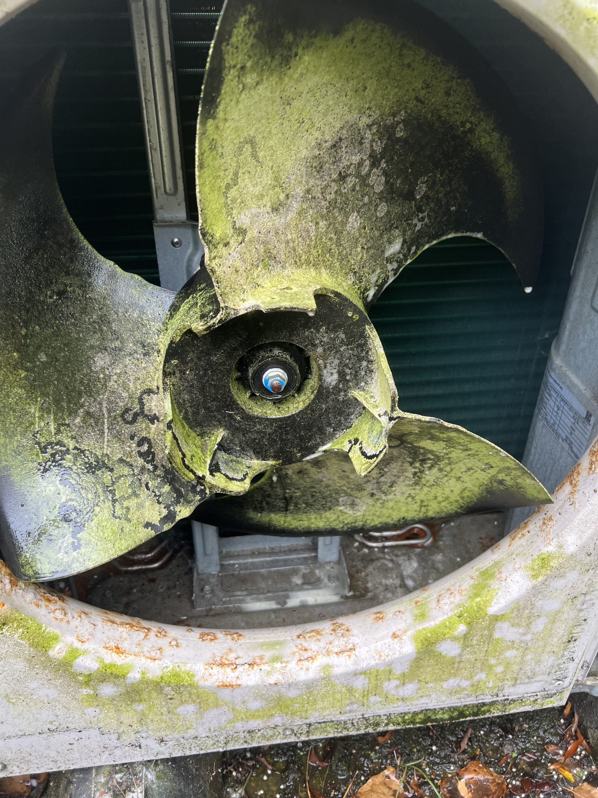 Moss and dirt buildup on air conditioning unit