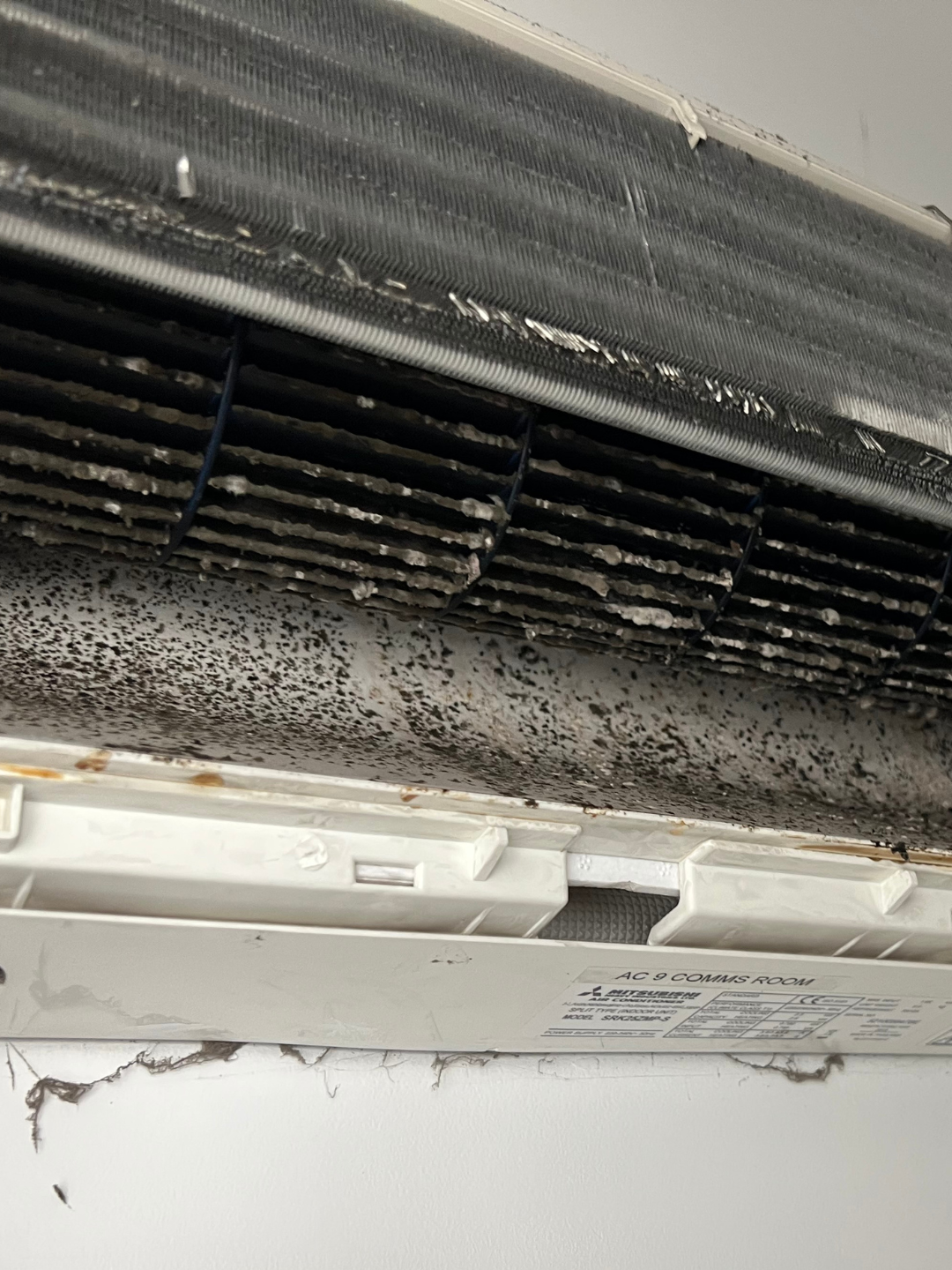 Mold and dust buildup inside air conditioning unit